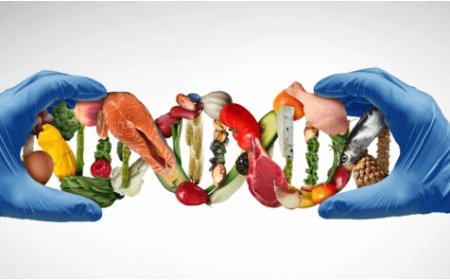 Genetic Health Revolution: Personalized Diets Tailored to DNA Optimize Nutrient Absorption and Prevent Chronic Conditions