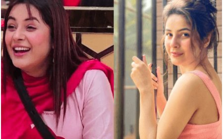 Shehnaaz Gill Unveils Her Diet Secrets: A Balanced Meal Plan for Health and Fitness