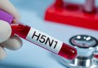 H5N1 Bird Flu: Could Asymptomatic Infections Be Spreading? New Study Sounds Alarm ON