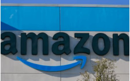 Amazon and Accenture Redefine Diversity Strategies for Future Growth, Corporate Shake-Up.