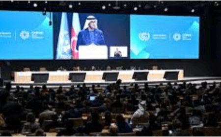 UAE Pledges Bold Emission Cuts: Leading the Charge in Global Climate Action with Ambitious 2035 Goals