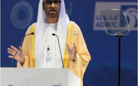 UAE Champions Global Human Rights: Submits Candidacy for UN Human Rights Council