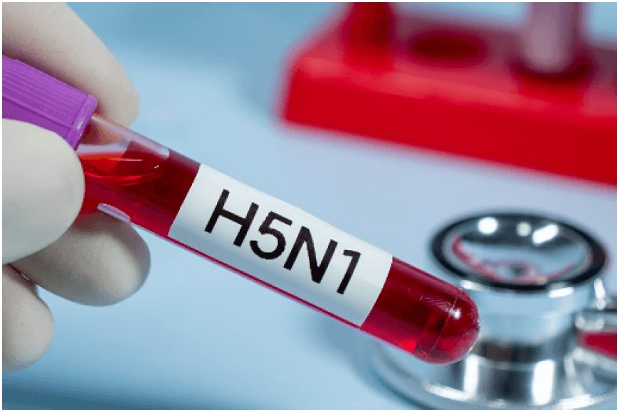 H5N1 Bird Flu: Could Asymptomatic Infections Be Spreading? New Study Sounds Alarm ON