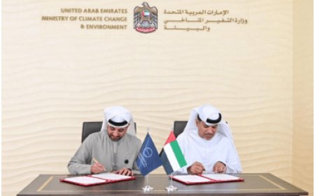 UAE Leads the Way with Powerful Environmental Commitments on Earth Day