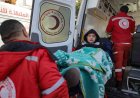 Gaza Cease-Fire Stalls: 15,000 Patients Trapped as Rafah Crossing Remains Shut