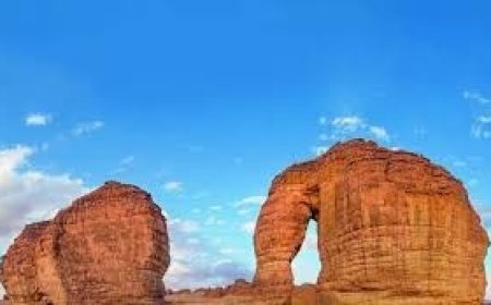 Saudi Education Milestone: Riyadh, AlUla and Riyadh Al-Khabra Join UNESCO’s Learning Cities Network