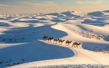 Snowfall in Saudi Arabia: Rare Desert Snowfall Blankets Northern Regions