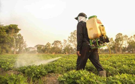 Saudi Arabia Proposes Tough New Penalties for Illegal Pesticides: Up to 5 Years Jail, SR 10M Fine