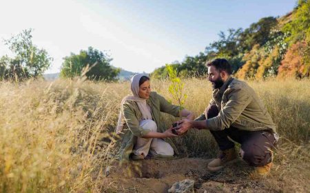 Saudi Arabia Pushes Massive 10 Billion Tree Project to Reclaim the Desert