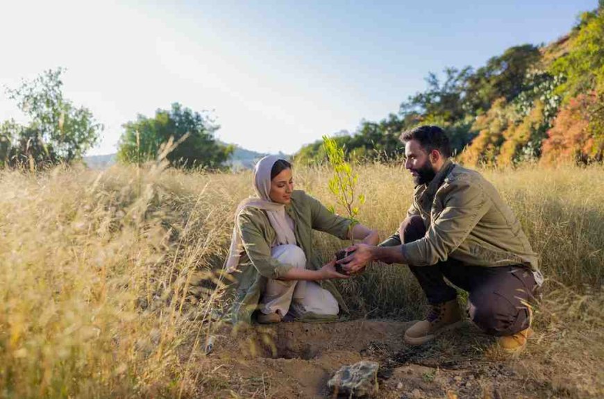 Saudi Arabia Pushes Massive 10 Billion Tree Project to Reclaim the Desert