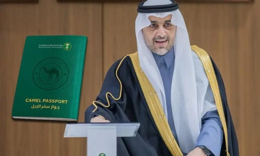 Saudi Arabia's Digital Camel Passport: A New Era for Camel Tracking & Trade