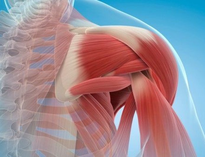 India Releases First Sarcopenia Guidelines as Hidden Muscle Loss Affects Older Adults