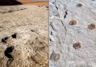 Groundbreaking Find: Ancient Footprints in Nefud Desert Reveal Shocking Human Migration Clues