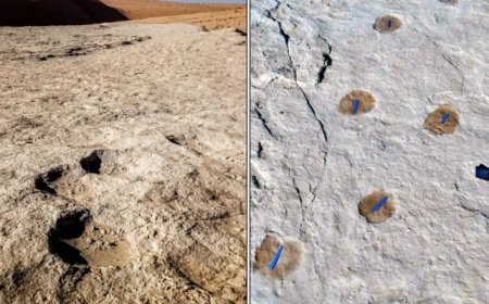 Groundbreaking Find: Ancient Footprints in Nefud Desert Reveal Shocking Human Migration Clues