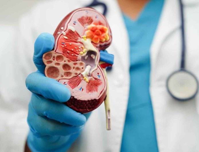 Protect Your Kidneys: Nephrologist Reveals 6 Essential Daily Habits for Better Health