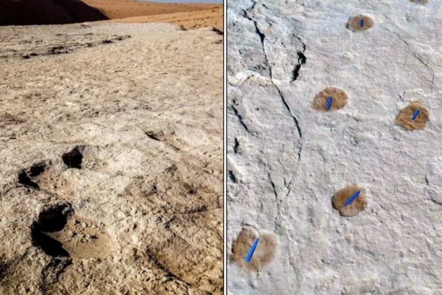 Groundbreaking Find: Ancient Footprints in Nefud Desert Reveal Shocking Human Migration Clues