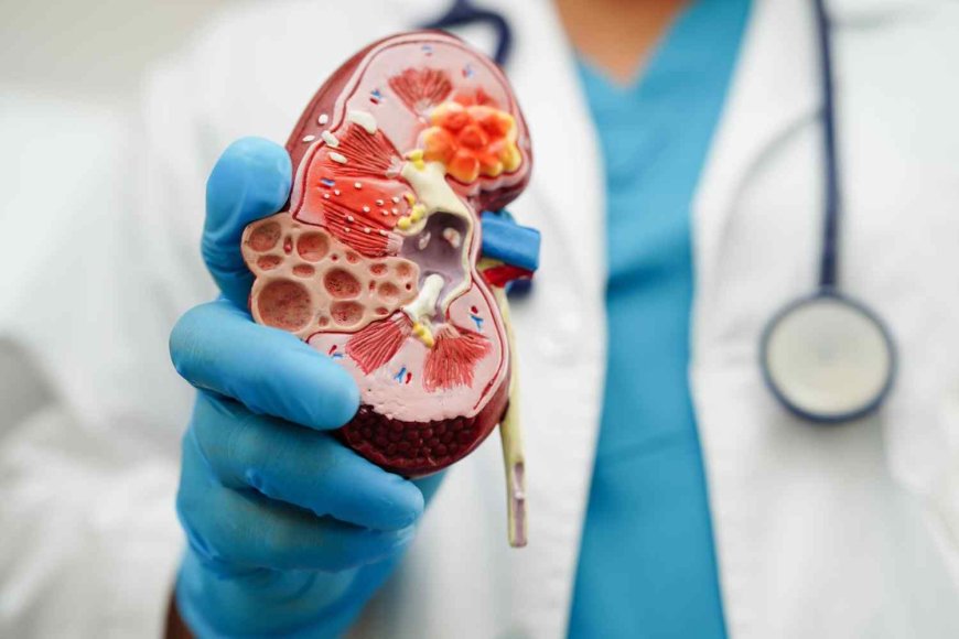 Protect Your Kidneys: Nephrologist Reveals 6 Essential Daily Habits for Better Health