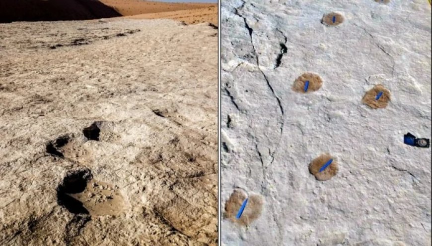 Groundbreaking Find: Ancient Footprints in Nefud Desert Reveal Shocking Human Migration Clues
