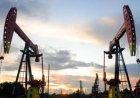 Oil Prices Fall on Iran-Oman Hormuz