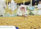 Saudi Date Exports Hit Record $533 Million in 2026