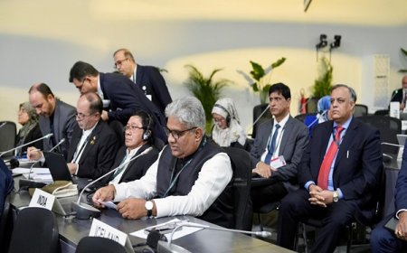 Saudi Arabia Hands COP17 Presidency to Mongolia