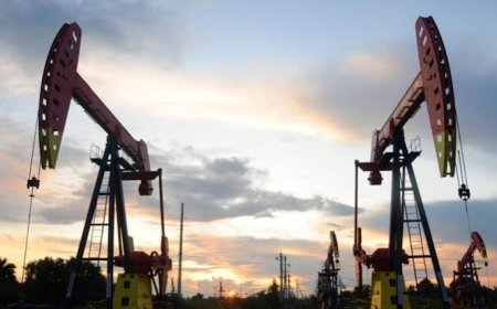 Oil Prices Fall on Iran-Oman Hormuz