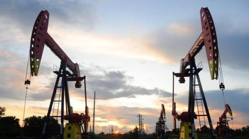 Oil Prices Fall on Iran-Oman Hormuz