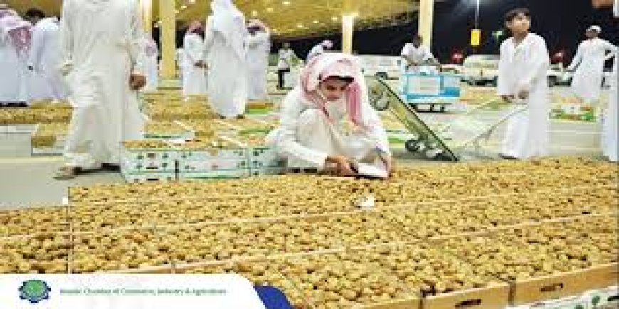 Saudi Date Exports Hit Record $533 Million in 2026