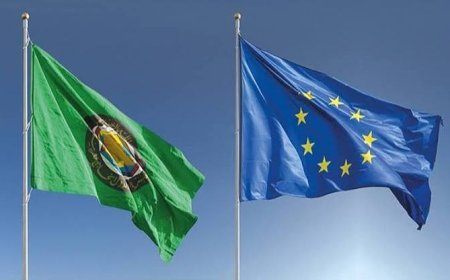 Saudi Arabia to Host EU-GCC Summit on Oct 24