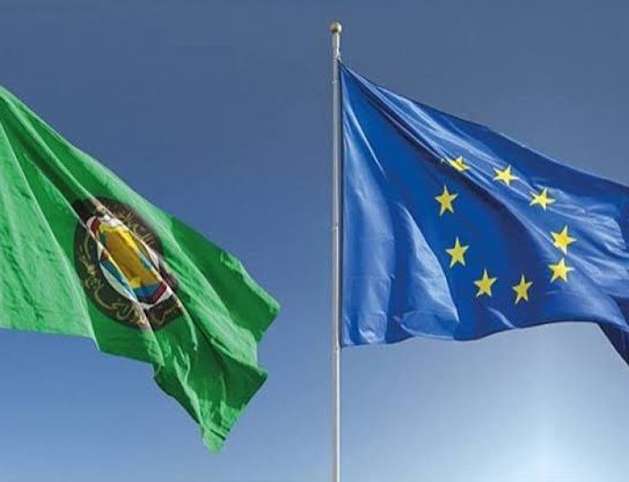 Saudi Arabia to Host EU-GCC Summit on Oct 24