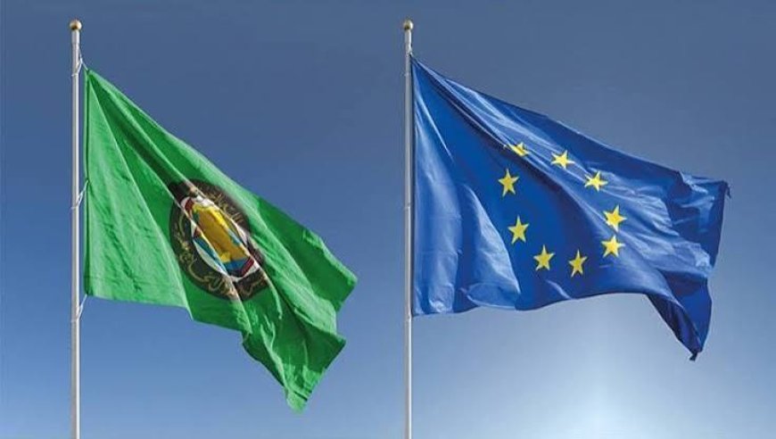 Saudi Arabia to Host EU-GCC Summit on Oct 24